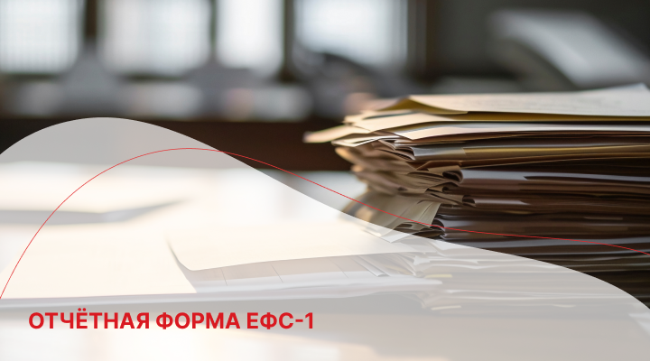 Отчётная форма ЕФС-1