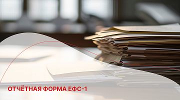 Отчётная форма ЕФС-1