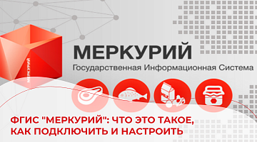 ФГИС "Меркурий": что это такое, как подключить и настроить